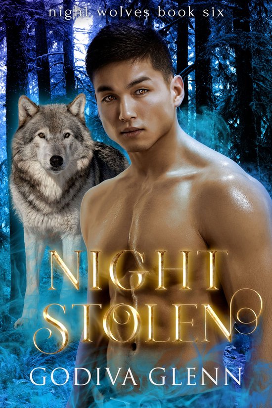 Night Wolves 6 - Night Stolen - cover