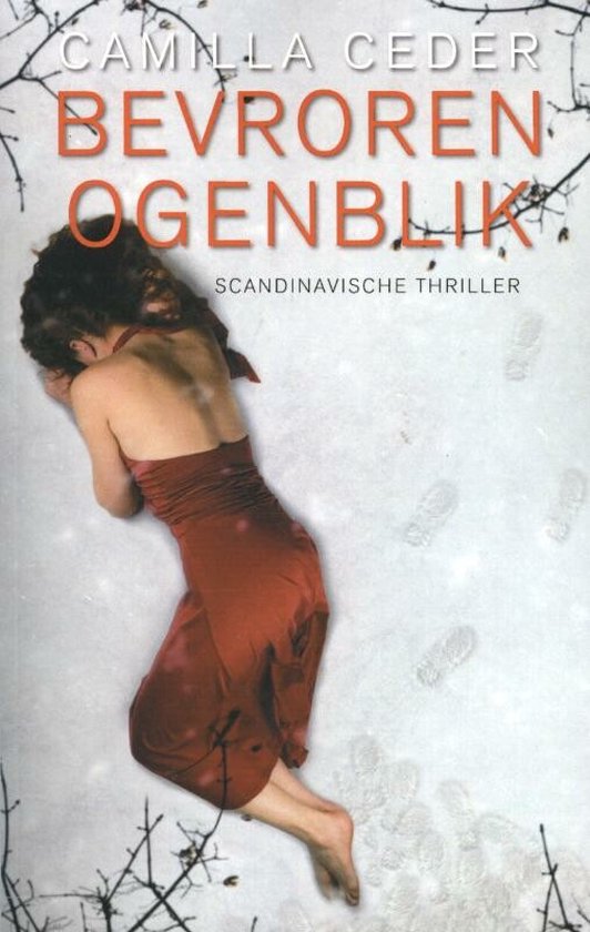 Bevroren ogenblik - cover