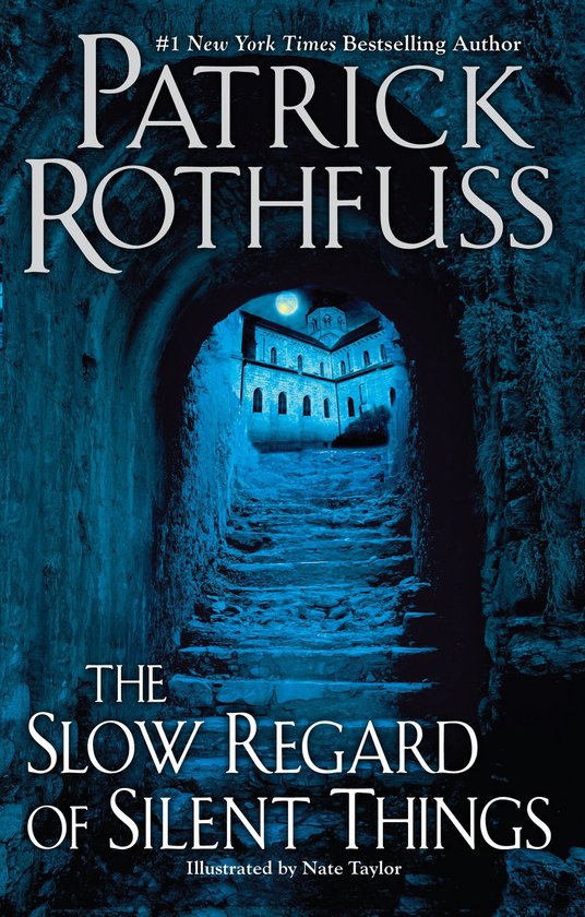 The Slow Regard of Silent Things - cover