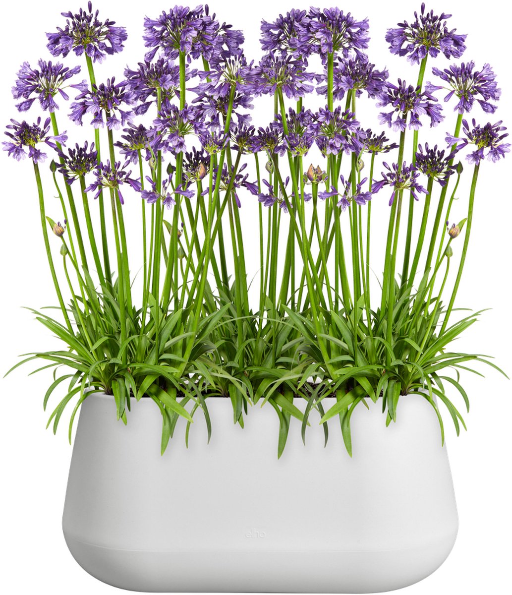 Elho Pure Cone Long Wheels 75 - Grande jardinière intérieur et extérieur