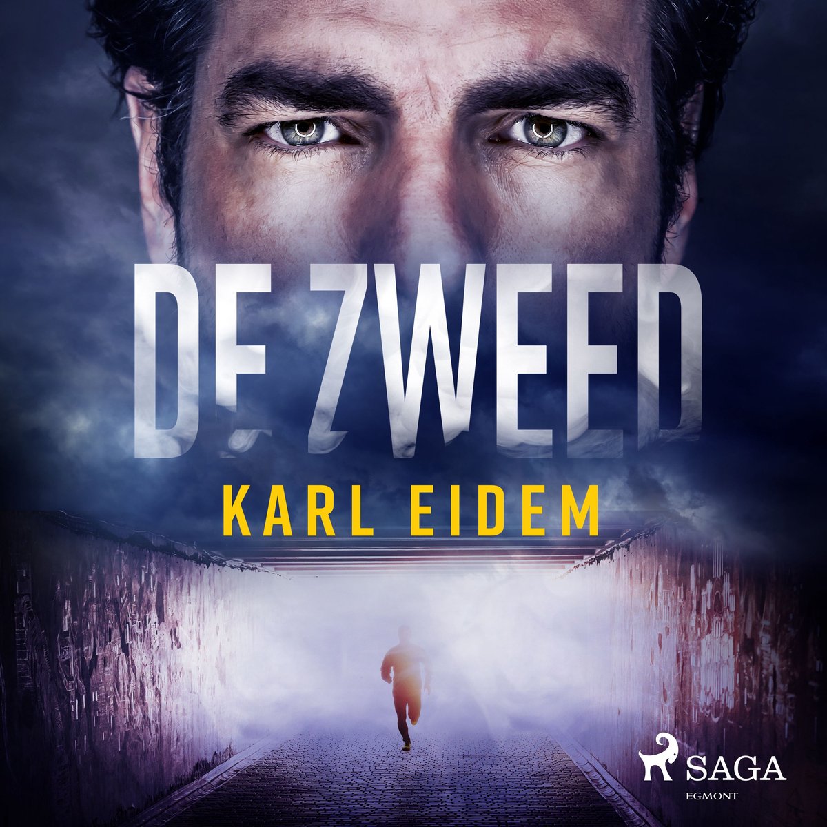 Omslag van De Zweed