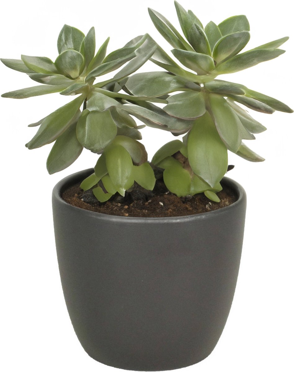 1x bloempot in kleur mat antraciet grijs keramiek voor kamerplant h9.8 x d12 cm- plantenpotten binnen