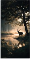 Affiche 60x120 cm - Cerf - Ruisseau forestier - Mystique - Posters Décoration murale - Salon - Chambre
