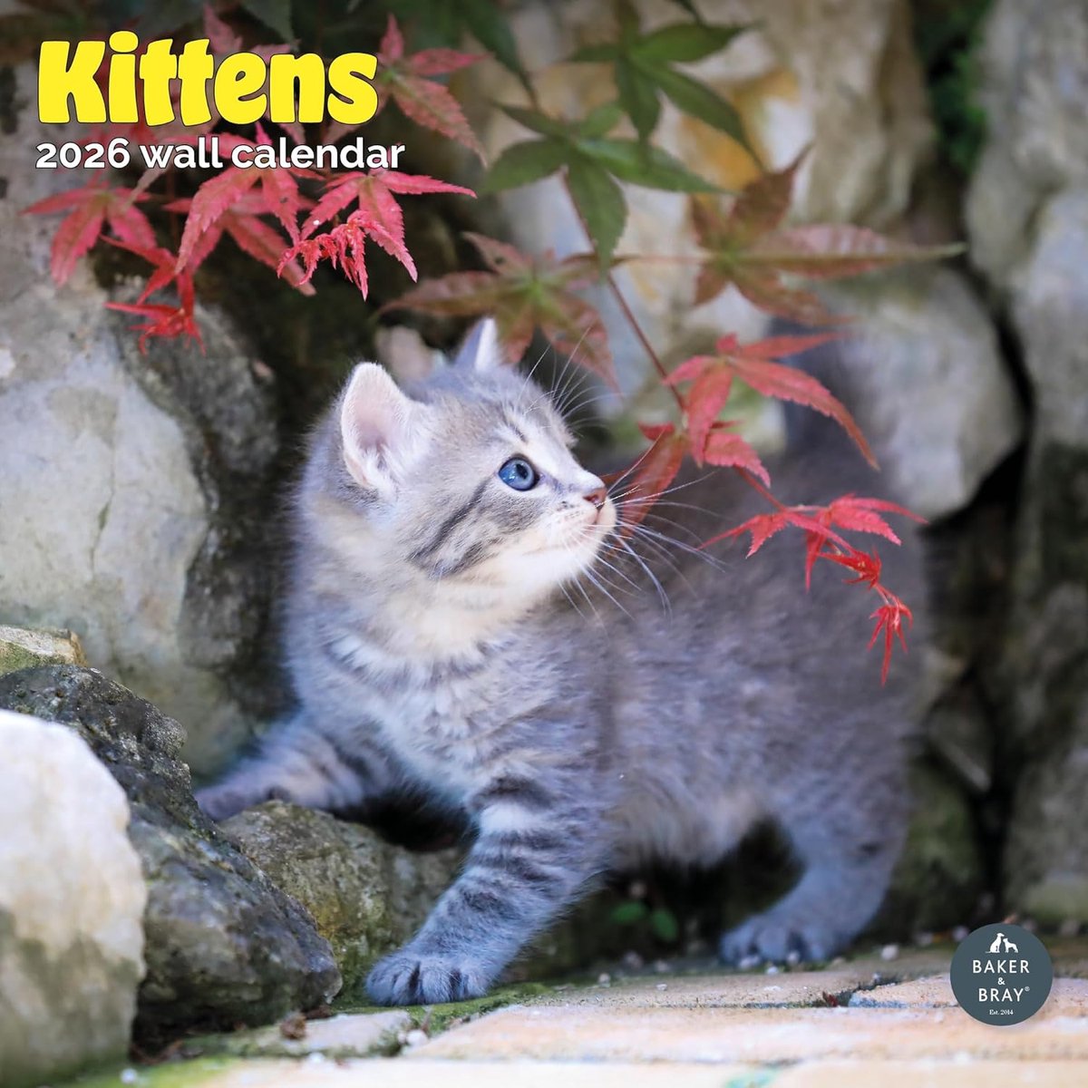 Kittens Kalender 2027