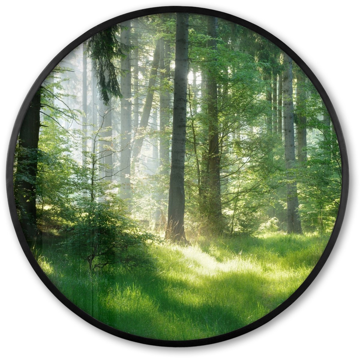 FrameYourWall Poster in lijst Rond - Fotolijst 80x80 cm - Posters - Natuur - Bomen - Bos - Groen - Zon - Gras - Planten - Ronde posterlijst zwart - Decoratie - Wanddecoratie woonkamer - Muurdecoratie slaapkamer