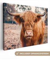 Tableau sur toile - Highlander - Animaux - Vache - Peintures salon - Décoration chambre - Toile toile - 40x30 cm