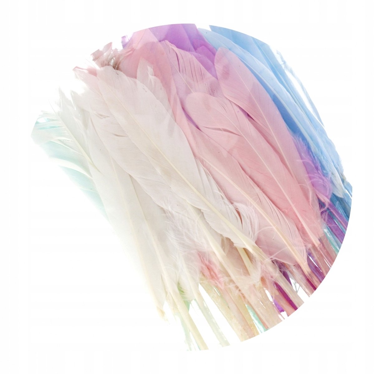 Pastel Decoratieve Veren 8-12 cm - 50 Stuks