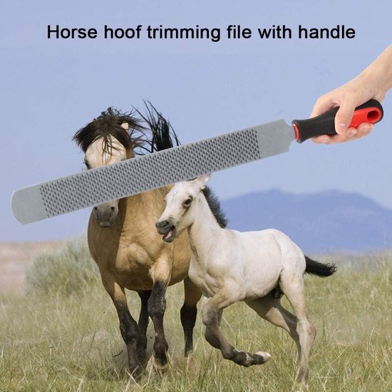 Paardenhoefverzorgingsgereedschap