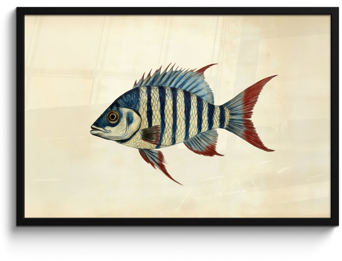 FrameYourWall Poster in lijst - Fotolijst 90x60 cm - Posters - Gestreept - Donkerblauw - Rugvin - Vis - Posterlijst zwart - Decoratie - Wanddecoratie woonkamer - Muurdecoratie slaapkamer
