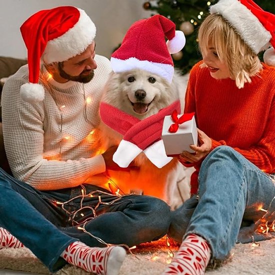 Kat kerstmuts. Kerstmuts voor katten en kittens. Fotorekwisiet huisdier | ALLEMAAL: - België