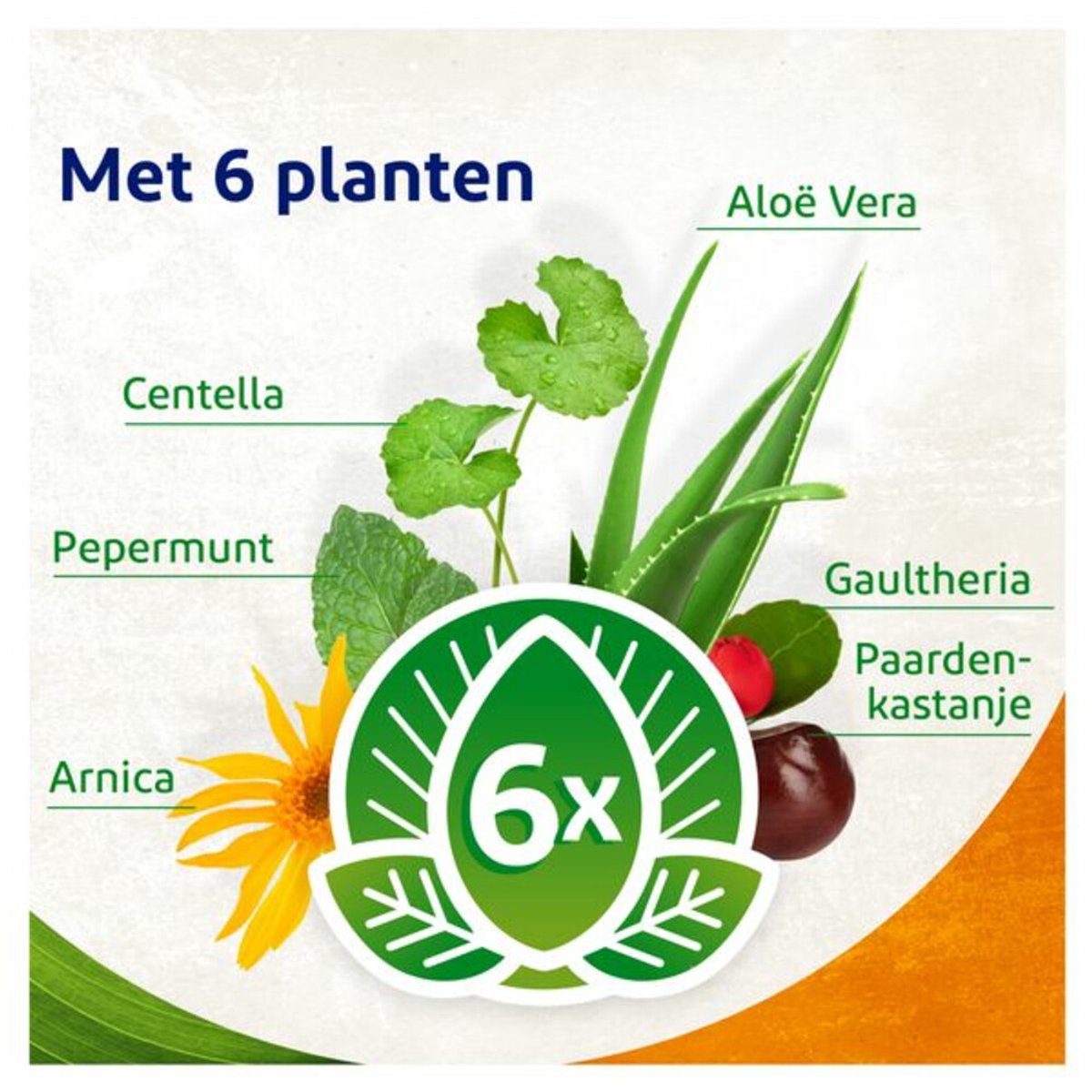Voltaren Natural Plantaardige Gel - 2 x 50 ml - Voordeelverpakking