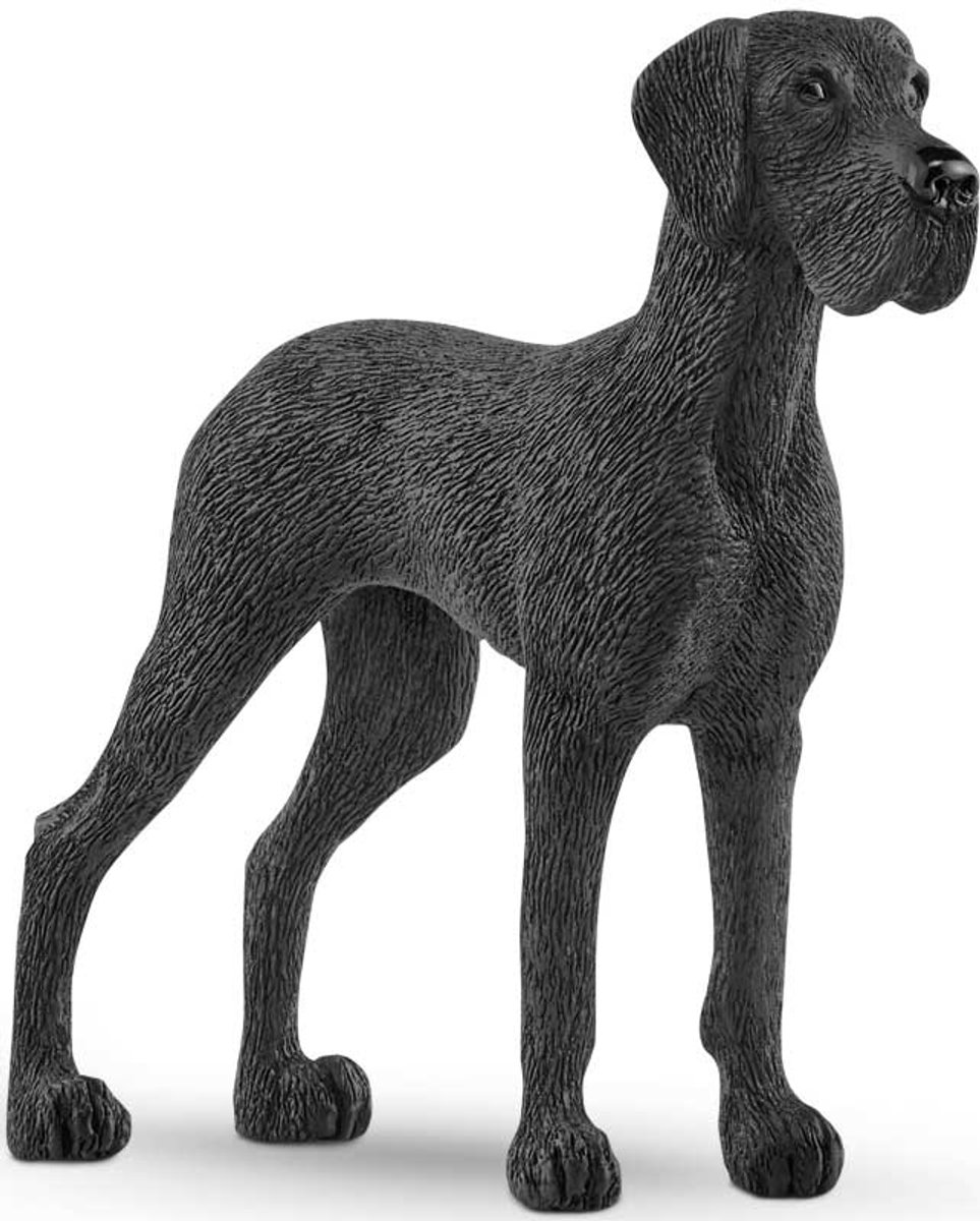 schleich FARM WORLD - Duitse dog - 13962 — afbeelding 3