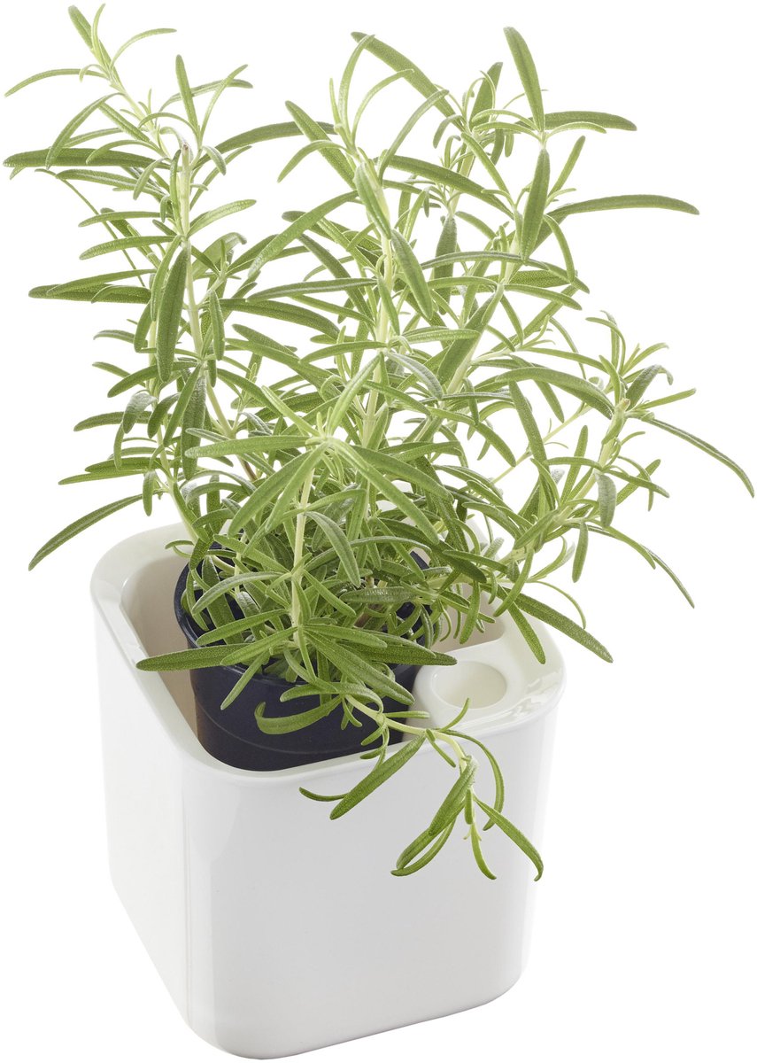 Kruidenpot Eden, breedte: 120 mm, wit