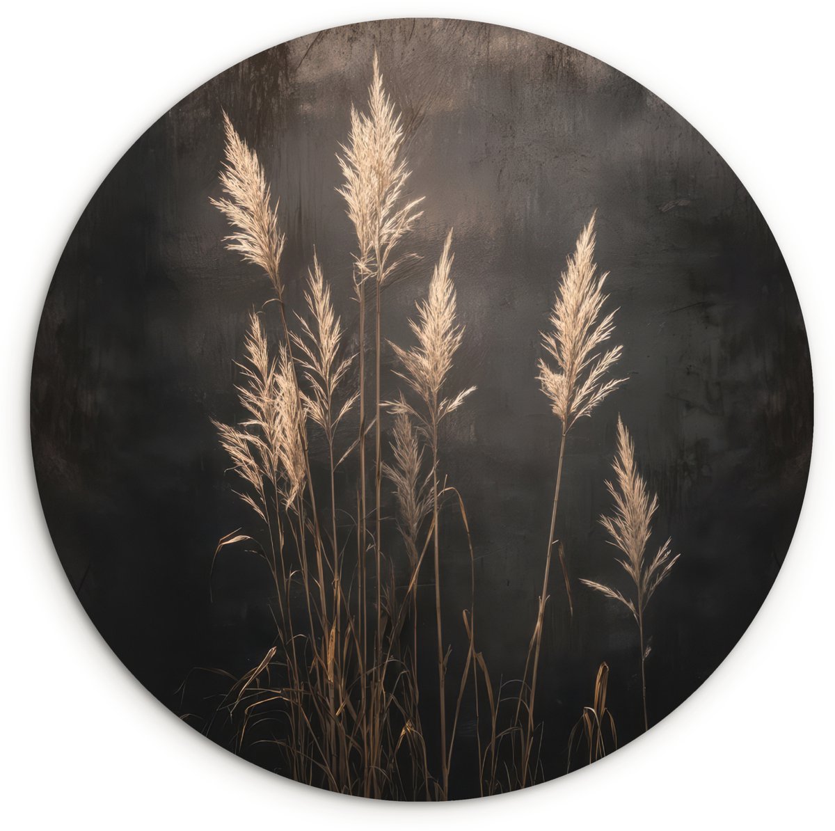WallCircle® Wandcirkel 30x30 cm - Muurcirkel Siergras - Pluimen - Verlichting - Zwart - Muurdecoratie woonkamer - Wanddecoratie slaapkamer - Kamer decoratie accessoires - Ronde schilderijen