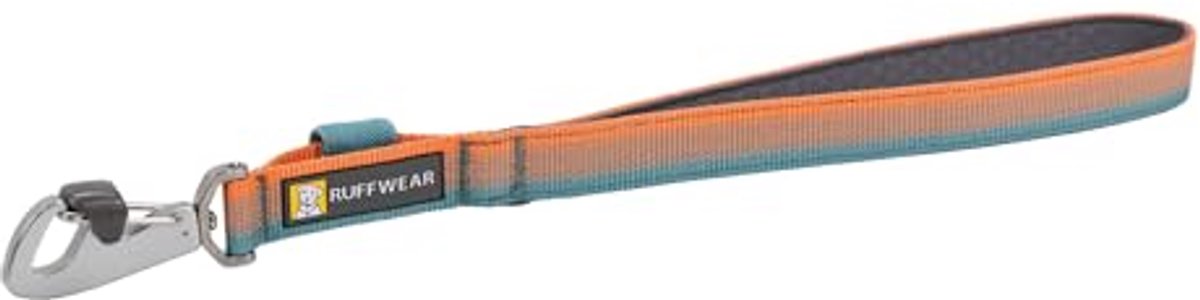 Korte hondenriem vooraan met gewatteerd handvat - 38 cm, anti-wirwar en lichtgewicht