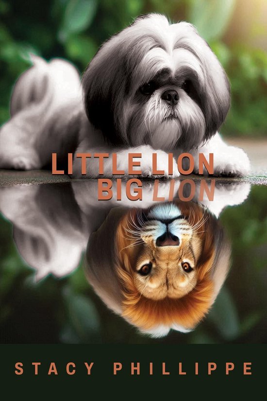 Little Lion Big Lion - cover