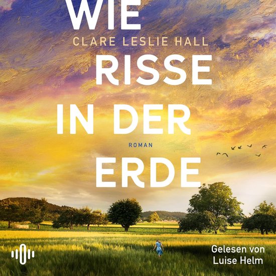 Wie Risse in der Erde - cover