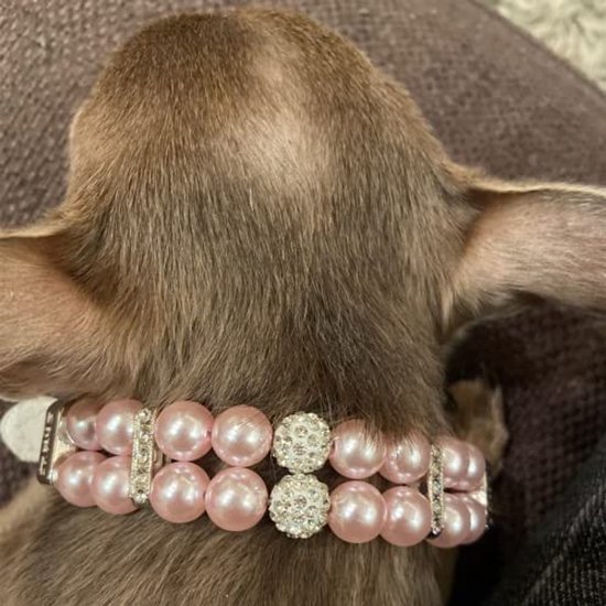 Hondenhalsband met diamanten, lederen parel en strass, verstelbare PU-lederen halsband voor katten en honden