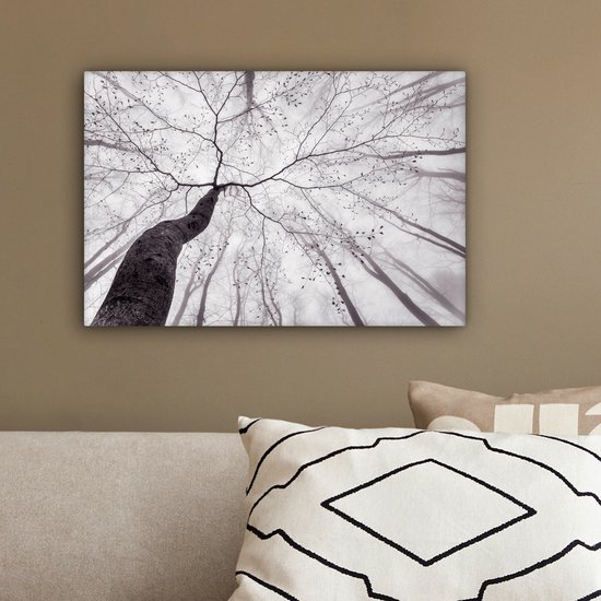 Peinture sur toile - Arbres - Brouillard - Nature - Forêt - Canvasdoek - Décoration murale - Photo sur toile - 30x20 cm - Peintures sur toile
