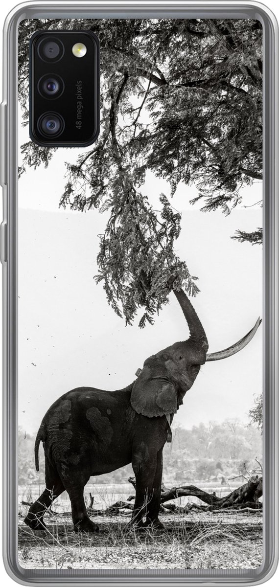 Telefoonhoesje Geschikt voor Samsung Galaxy A41 hoesje - Olifant - Boom - Dieren - Zwart wit - Siliconen Telefoonhoesje Telefoonhoesje