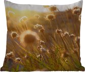 Sierkussen Buiten - Planten - Natuur - Bloemen - Zon - Horizon - 60x60 cm - Weerbestendig