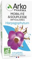 Arkopharma Arkogélules Harpagophytum Bio 45 Gélules