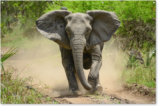 Muurdecoratie Rennende olifant - 180x120 cm - Tuinposter - Tuindoek - Buitenposter