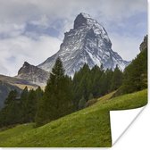 Poster De Zwitserse Matterhorn achter een dennenbos - 50x50 cm