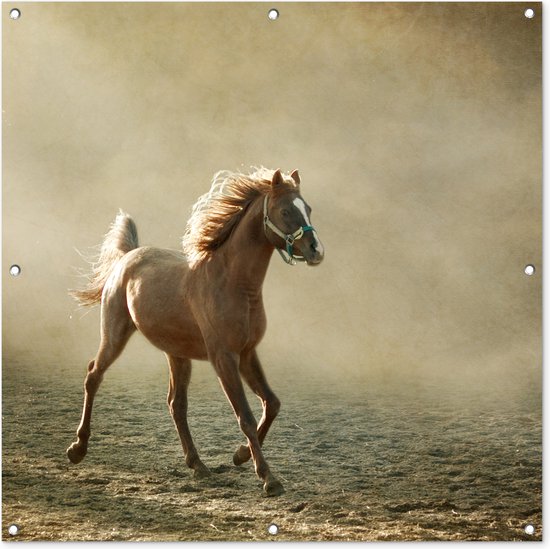 Tuindoek Paard - Zand - Mist - 100x100 cm