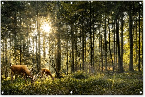 Poster van een bos met zonsondergang en twee herten.