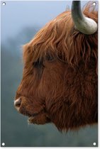 Tuinposters buiten Schotse Hooglander - Dieren - Mist - 60x90 cm - Tuindoek - Buitenposter
