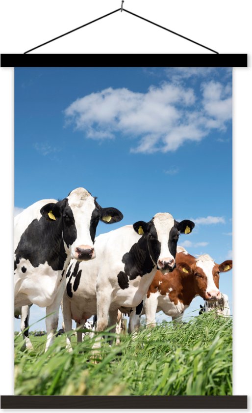 Porte-affiche avec affiche - Affiche scolaire - Vaches - Campagne - Pâturage - Nature - Animaux - 40x60 cm - Lattes noires