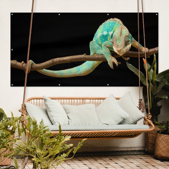 Affiche clôture Caméléon - Branche - Pastel - 200x100 cm - Toile de jardin