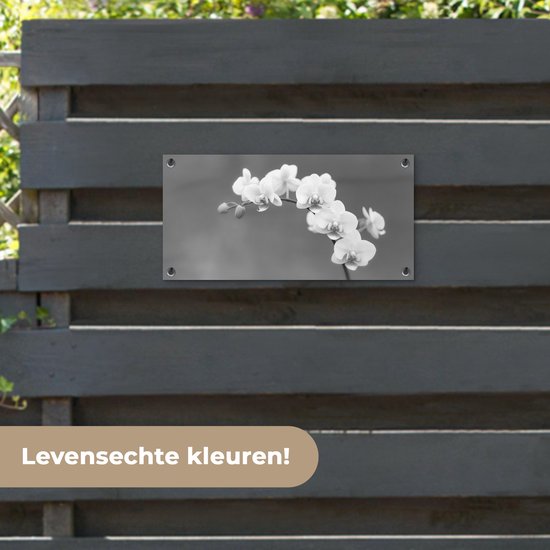 Poster de jardin Orchidée - Fleurs - Plante - Wit - Violet - 60x30 cm - Toile jardin - Poster extérieur