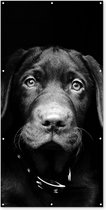Schuttingposter Hond - Licht - Zwart - 100x200 cm - Tuindoek