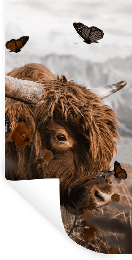 Close-up van een muursticker van een Schotse hooglander met vlinders, met een omgekrulde hoek.