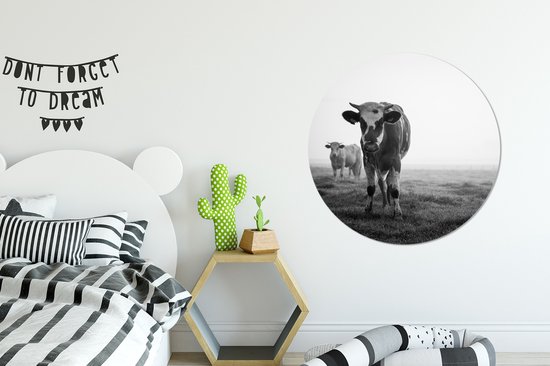 WallCircle - Wandcirkel - Muurcirkel - Koeien in de ochtendmist zwart-wit foto - Aluminium - Dibond - ⌀ 90 cm - Binnen en Buiten