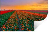 Muurstickers - Sticker Folie - Tulpenvelden in Zuid-Holland - 60x40 cm - Plakfolie - Muurstickers Kinderkamer - Zelfklevend Behang - Zelfklevend behangpapier - Stickerfolie