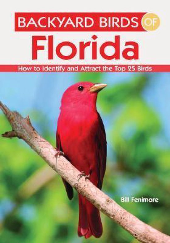 Backyard Birds of Florida, Bill Fenimore 9781423603528 Boeken