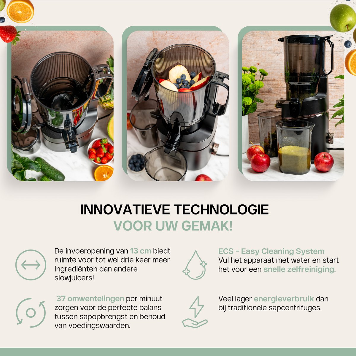 Slow Juicer 4Swiss WB025, 250 W, Reverse-functie, XXL-opening, EasyClean, 37 omw/min, Graphite thumbnail 6