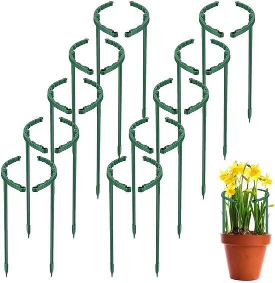 Bellissa Staudenhalter (Geeignet für: Leichte Stauden, Rund