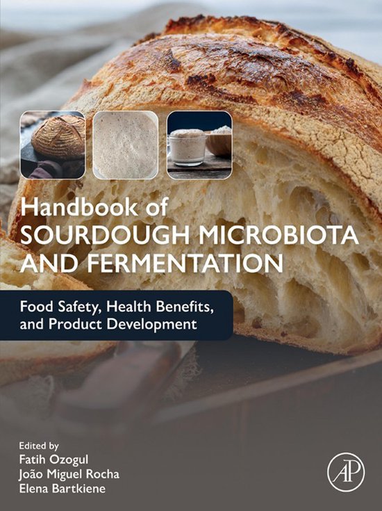 Handbook of Sourdough Microbiota and Fermentation - cover