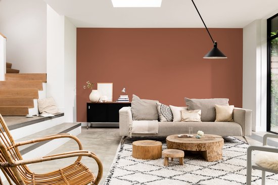 Woonkamer met terracotta muur, stoffen bank, rotan stoel en houten tafels.