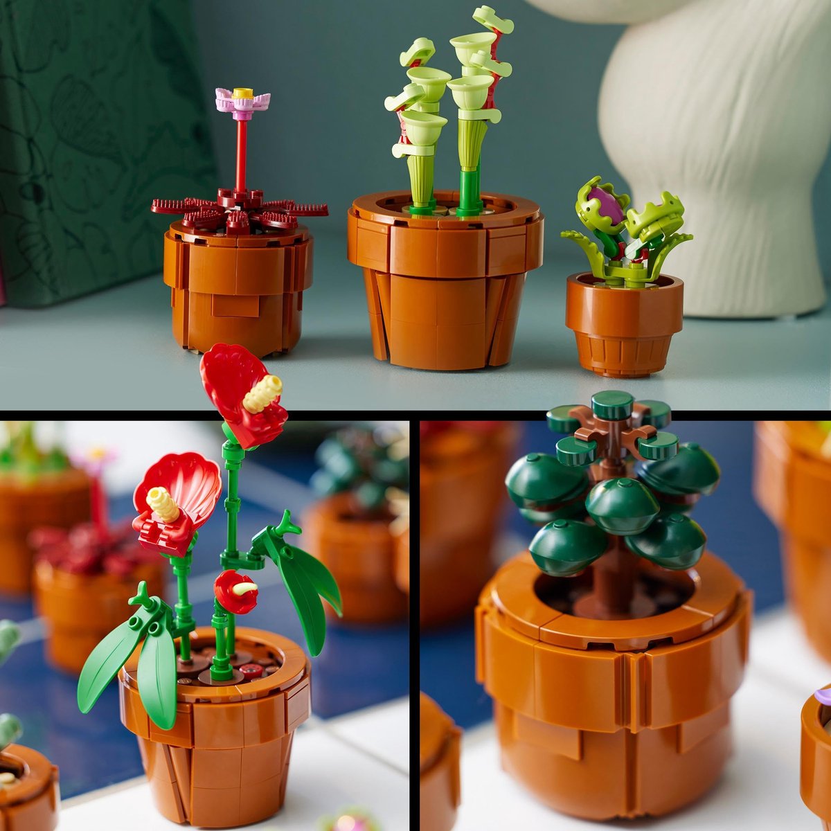 LEGO Icons Miniplantjes - Botanical Collection - 10329 — afbeelding 12