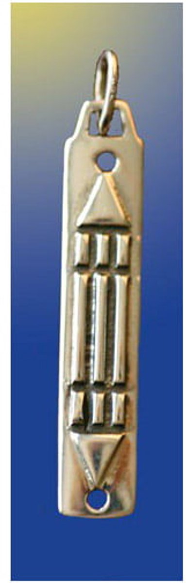 Atlantis bescherm-hanger (klein)