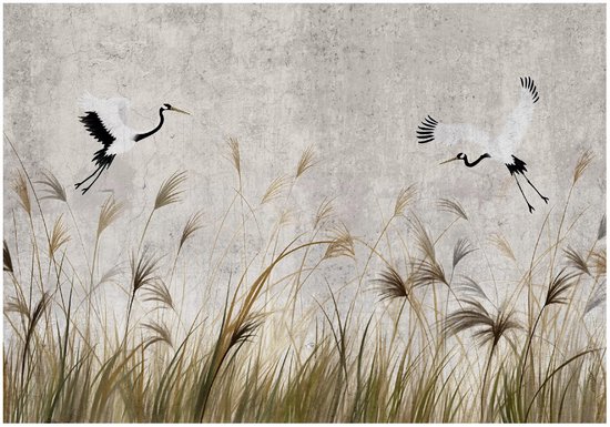 Papier peint représentant deux grues volant au-dessus d'herbes de la pampa séchées sur un mur gris texturé.
