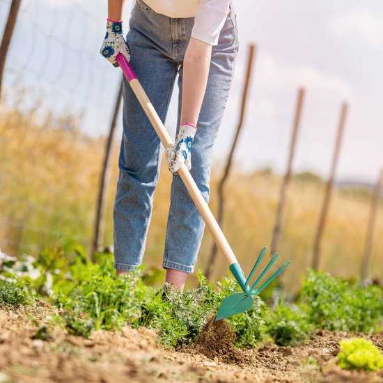 KADAX Tuinhak voor dames, tuinhak met metalen kop, dubbele hak voor het luchten, losmaken en wieden van de grond, onkruidhak voor het verwijderen van onkruid, tuinaccessoires met steel van hout (3 van Merkloos	 — afbeelding 5