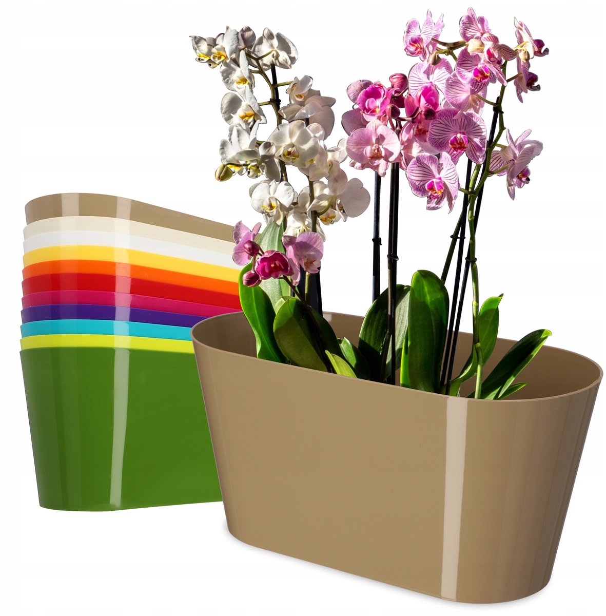 KADAX Bloempot van kunststof, 27 x 13 cm, brede pot, ovale plantenpot, bloemenpot voor orchideeën, Bellis, viooltjes, drazänen (beige)
