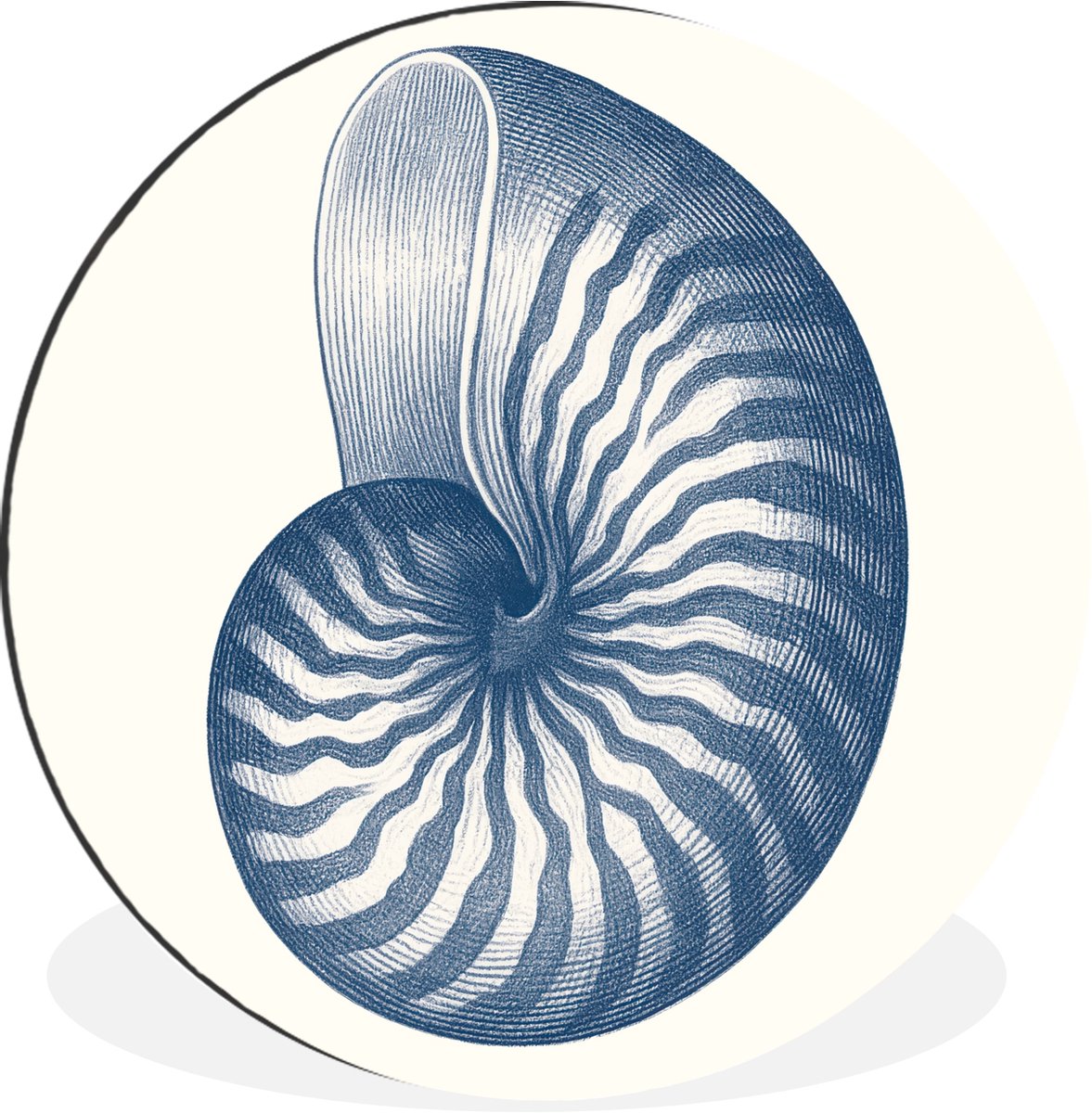 WallCircle Wandcirkel - Muurcirkel - Blauw - Schelp - Spiraal - Aluminium - Dibond - 60x60 cm - Binnen en Buiten Schelp - Blauw