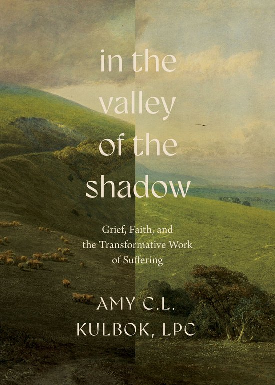 In the Valley of the Shadow - cover